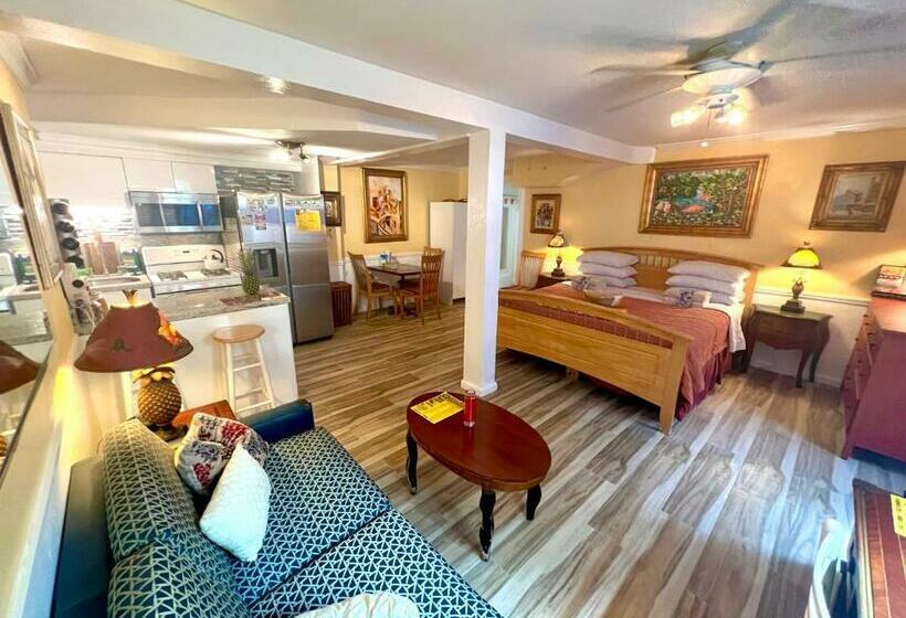 带大床的标准工作室, Villa Sinclair Beach Suites And Spa