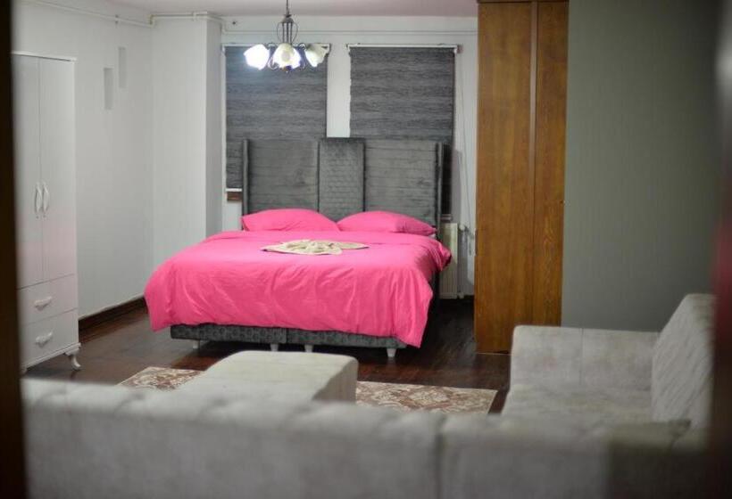 استودیو استاندارد با بالکن, Konak Kardelen