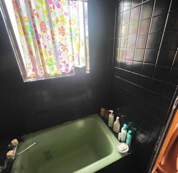 חדר יחיד עם טרסה, Jiji Baba House