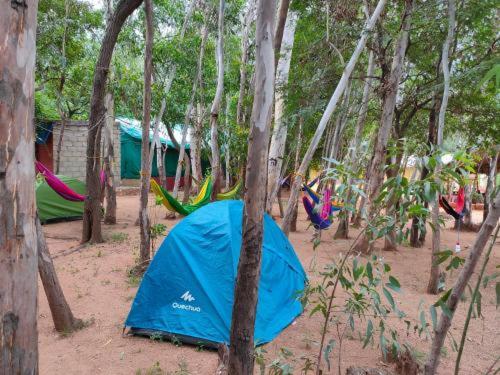 چادر با خدمات رفاهی استاندارد, Gowri Nature Farm Stay
