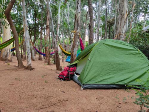 چادر با خدمات رفاهی استاندارد, Gowri Nature Farm Stay