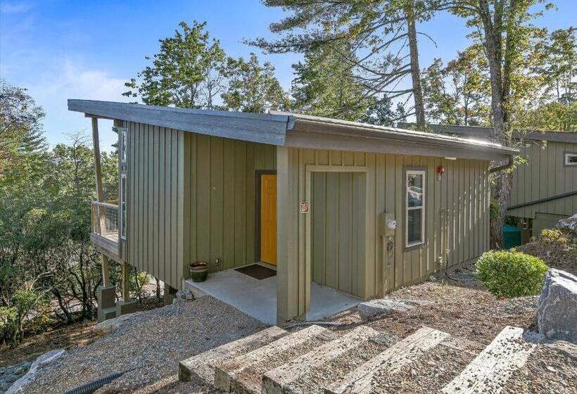 إستوديو ديلوكس, Pilot Cove