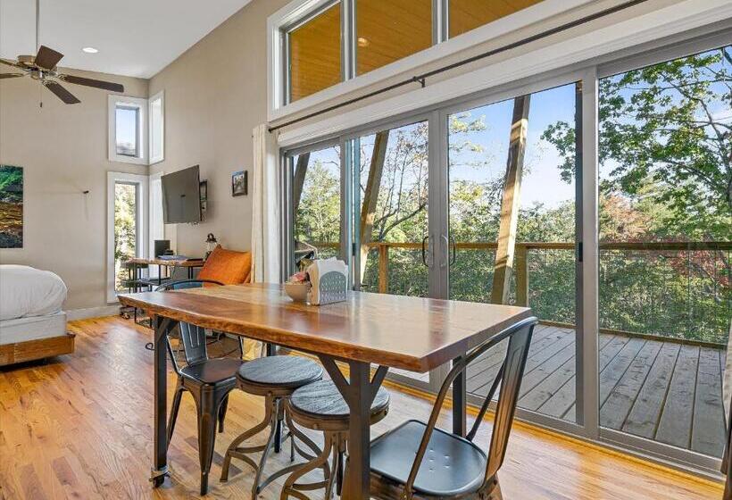 إستوديو ديلوكس, Pilot Cove