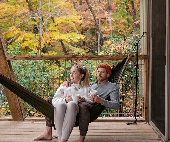 إستوديو ديلوكس, Pilot Cove