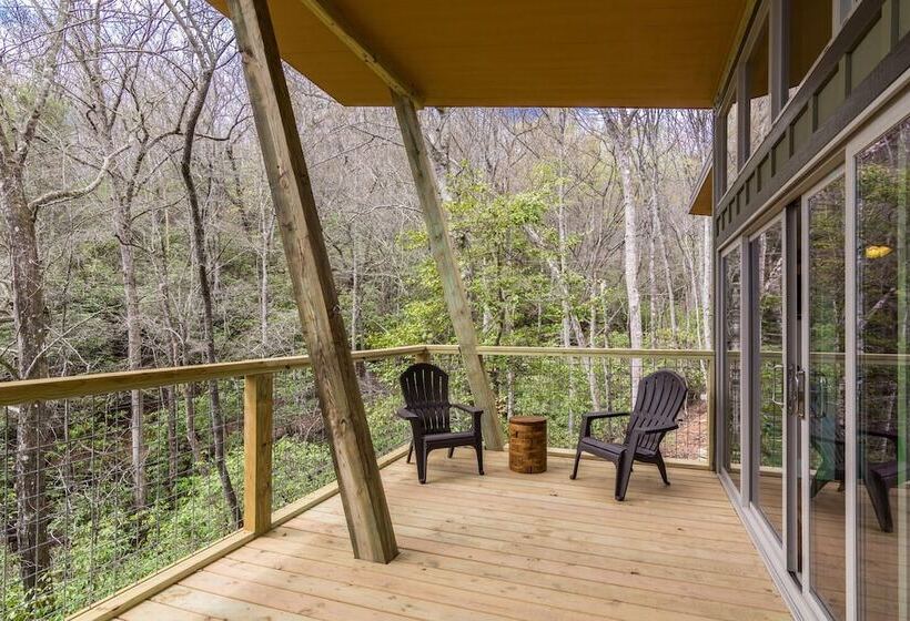 إستوديو ديلوكس, Pilot Cove