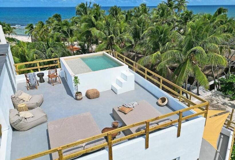 اتاق استاندارد با تخت بزرگ, Casa Alkimia Town