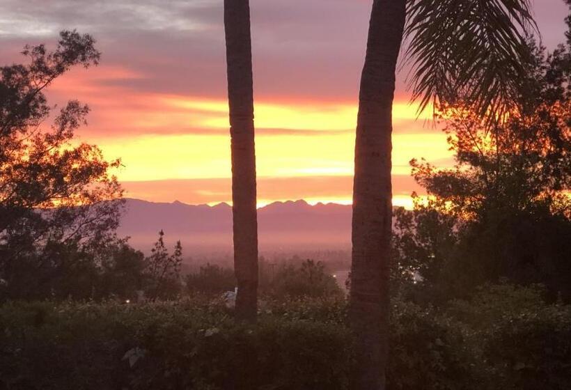 Standart Oda, Mason House