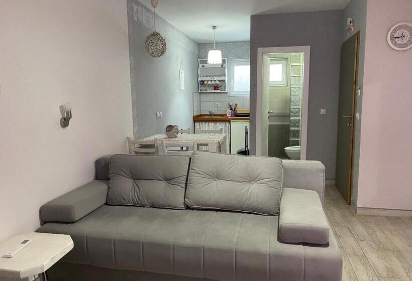 استودیو استاندارد با چشم‌انداز استخر, Smestaj Milovanovic