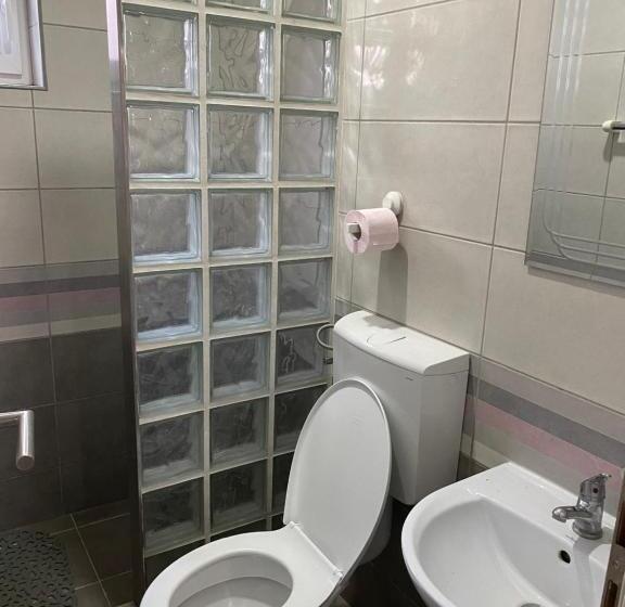 استودیو استاندارد با چشم‌انداز استخر, Smestaj Milovanovic