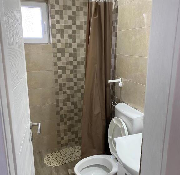 استودیوی استاندارد, Smestaj Milovanovic