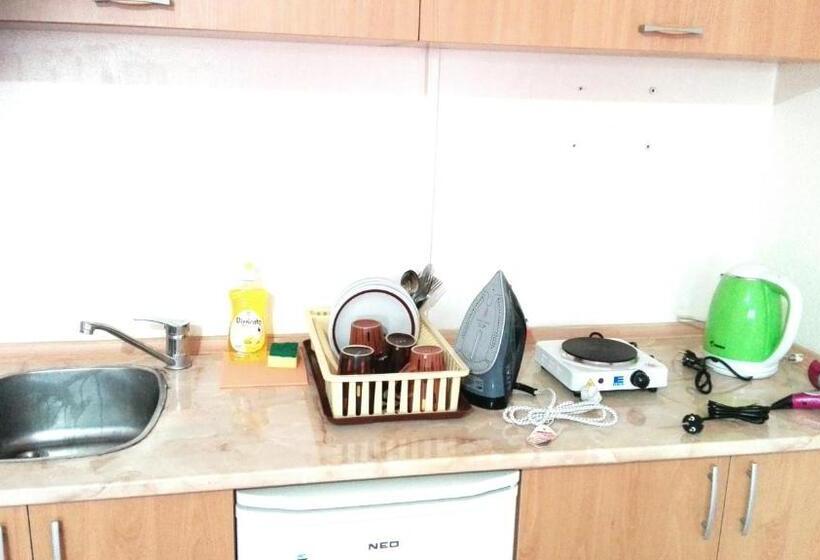 آپارتمان 1 خوابه همکف, Hiljadnikov Apartments