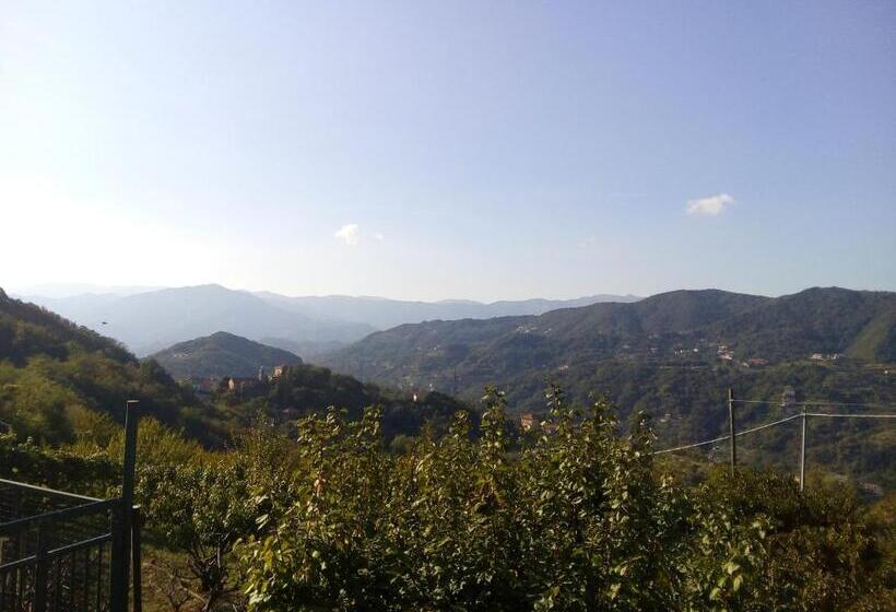 חדר משפחתי, B&b Terre E Colori