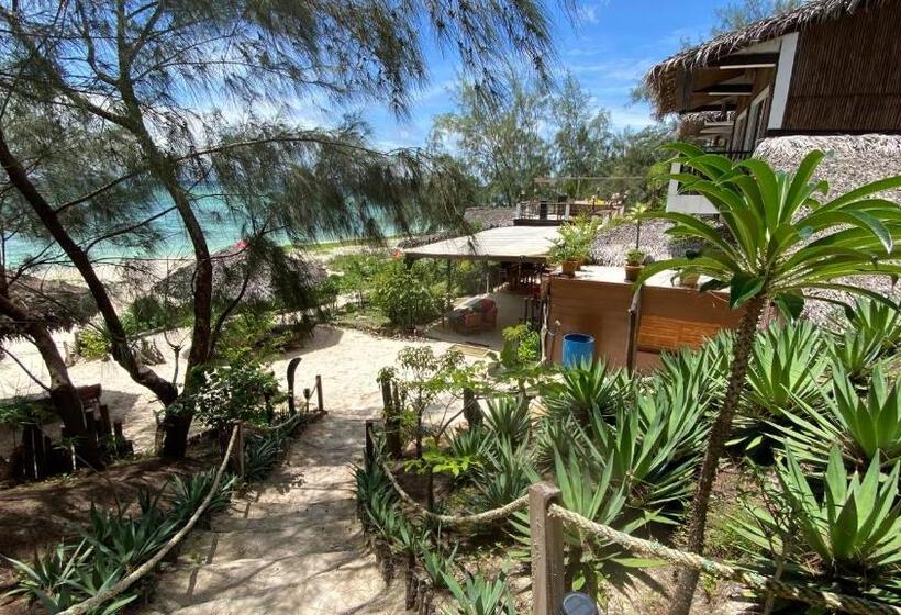 سوییت خانوادگی, Kiteparadise Madagascar