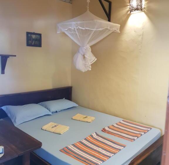 スタンダードルーム, Moon Garden