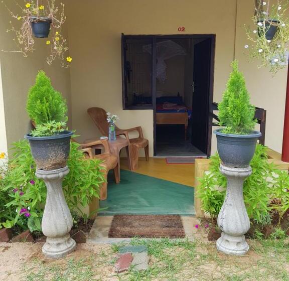 エコノミールーム, Moon Garden