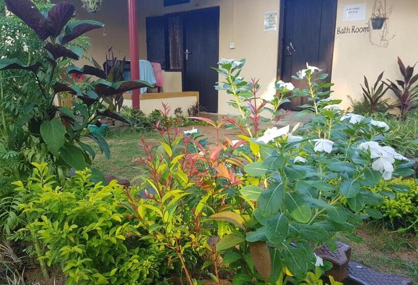 庭の見えるシングルルーム, Moon Garden