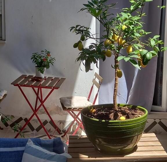 Апартаменты 3 Спальни, Guesthouse Jazmínes Mozárabes # Wifi