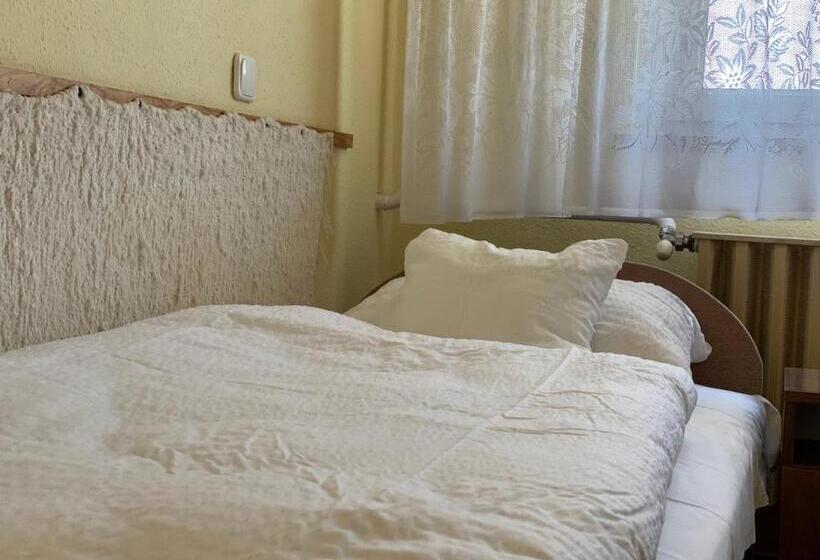 Номер Стандарт Индивидуальный, Patakparti Vendégház