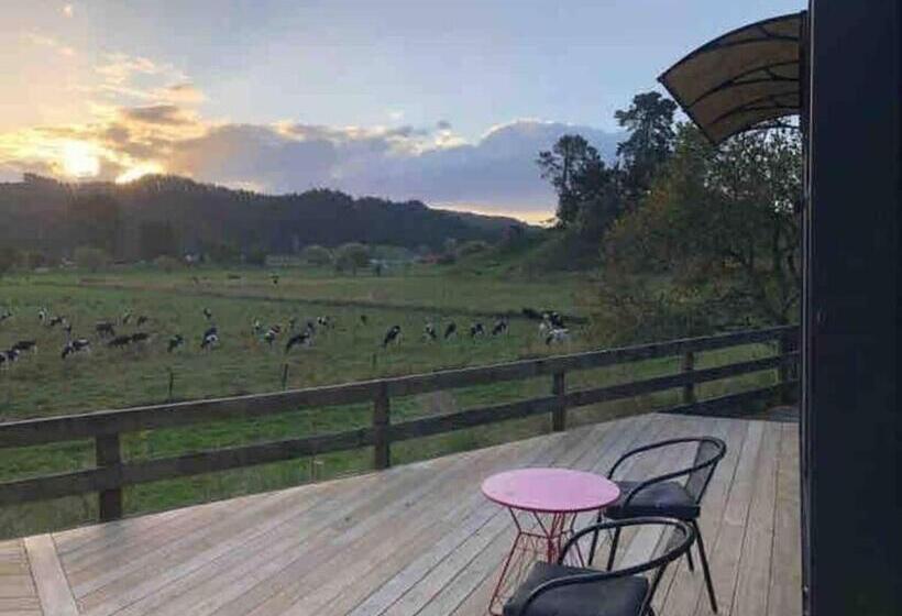 סטודיו דלוקס, White Pine Bush Cabins