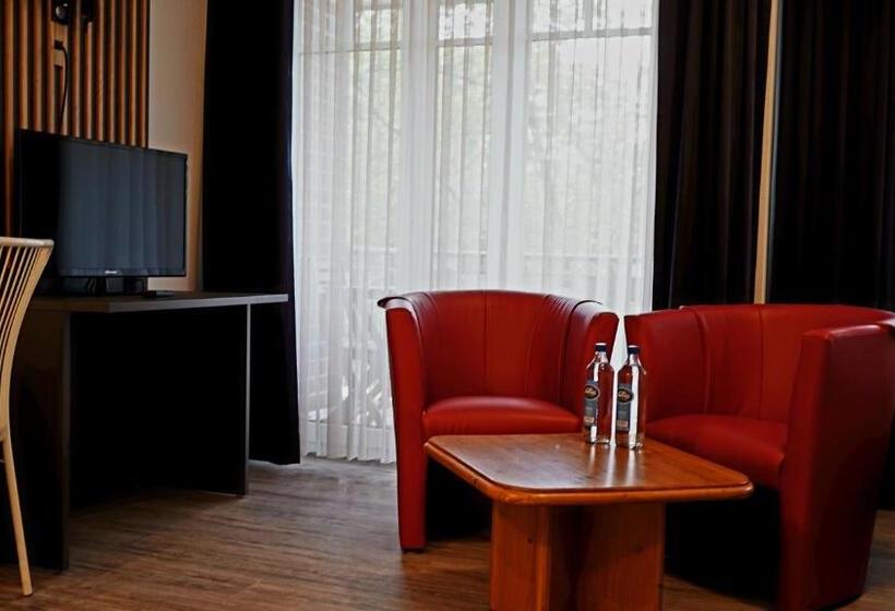 شقة غرفة نوم واحدة مزودة بشُرفة, Appart Haus Business Apartments