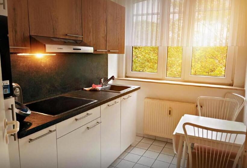 شقة غرفة نوم واحدة مزودة بشُرفة, Appart Haus Business Apartments