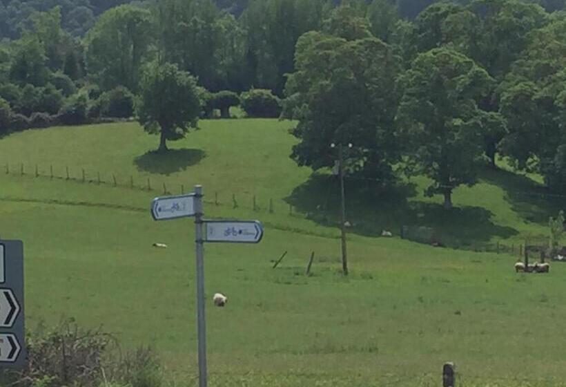 스탠다드 룸 공동 욕실, Viewmount