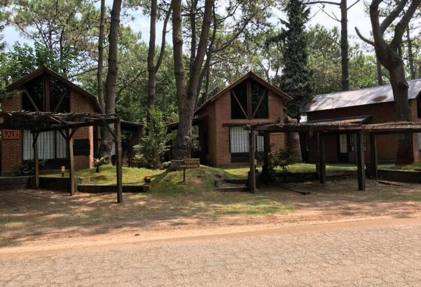 Бунгало Стандарт, Cabañas Das Dorf