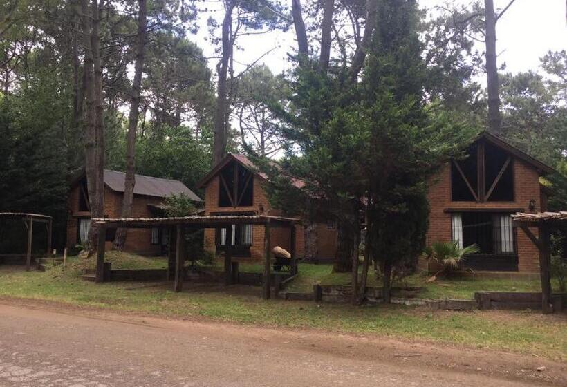 Бунгало Стандарт, Cabañas Das Dorf