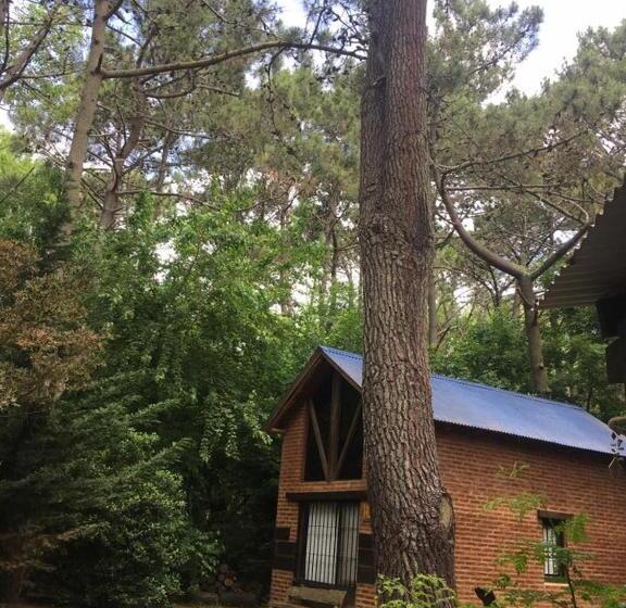 Бунгало Стандарт, Cabañas Das Dorf