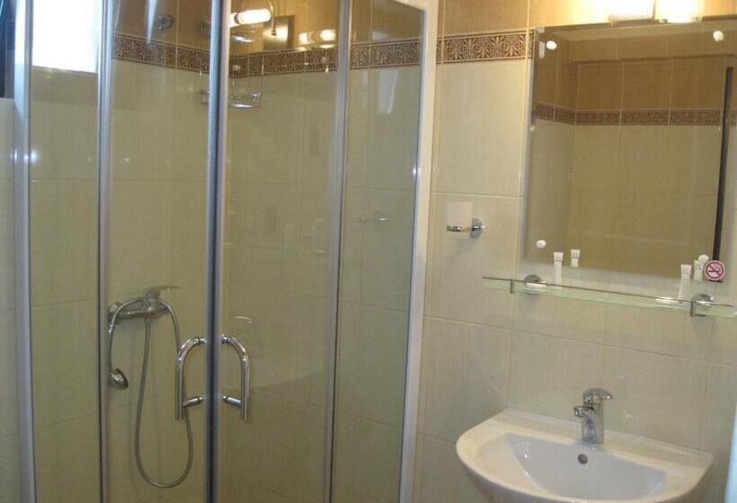 스탠다드 룸, Vila Medeea