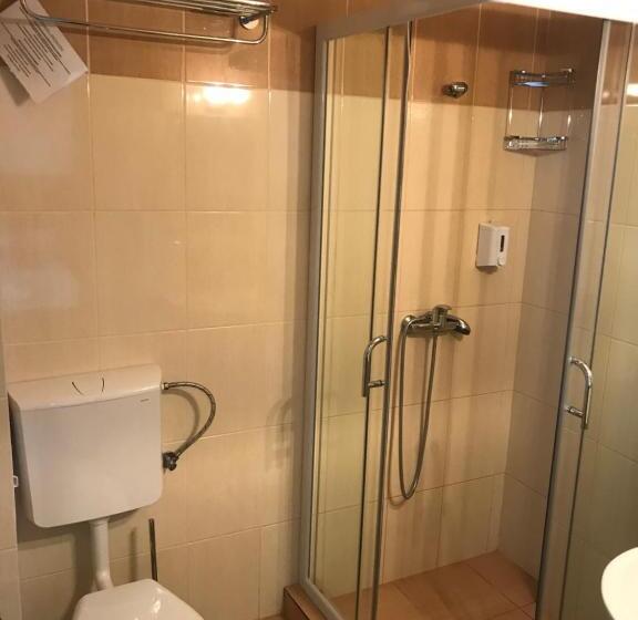 스탠다드 트리플 룸, Vila Medeea