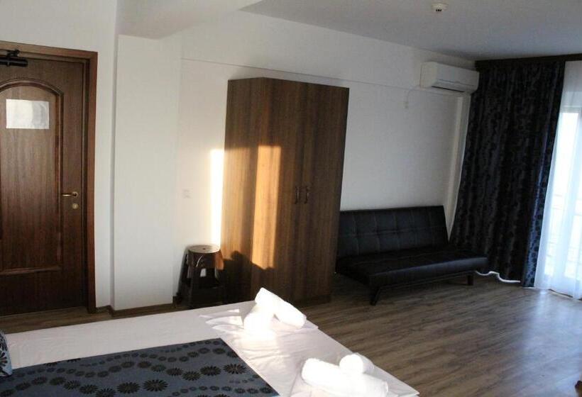 스탠다드 룸, Vila Medeea