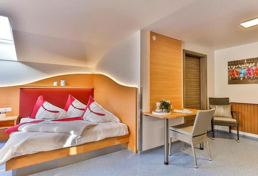 חדר סטודיו סטנדרד, Jugendhotel Bachlehen Und Johanneshof