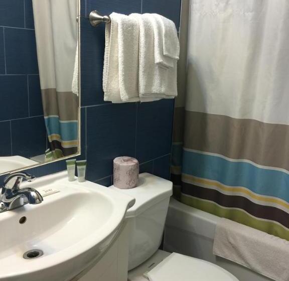 غرفة قياسية سرير كينج, Mayflower Motel