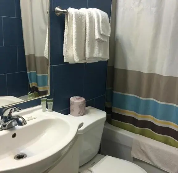 اتاق استاندارد با تخت بزرگ, Mayflower Motel