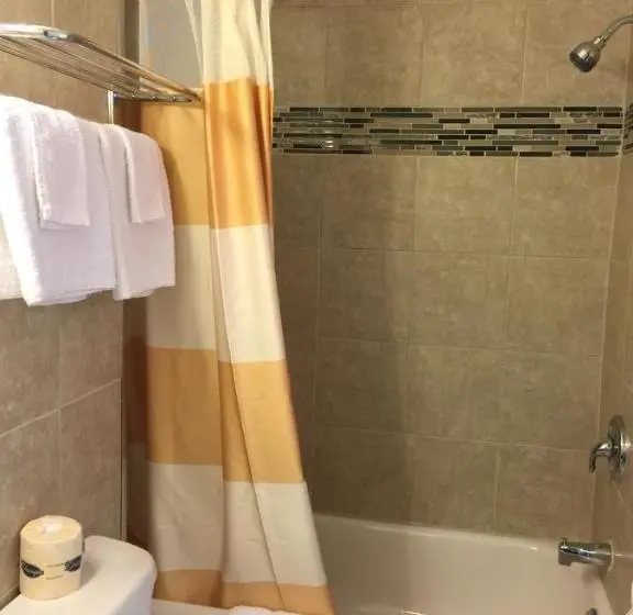 اتاق استاندارد, Mayflower Motel