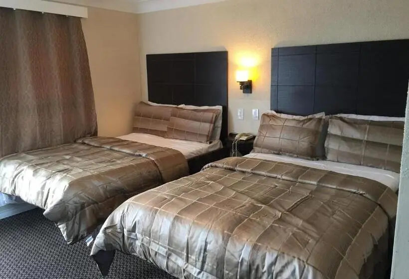 اتاق اکونومی, Mayflower Motel
