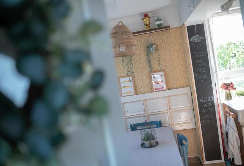 ２ベッドルームハウス, Mamaison