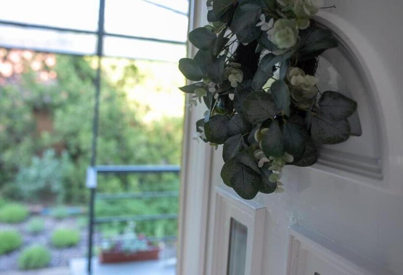 ２ベッドルームハウス, Mamaison