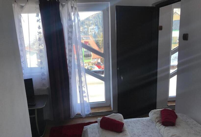 Апартаменты 2 Спальни, Pensiunea White House