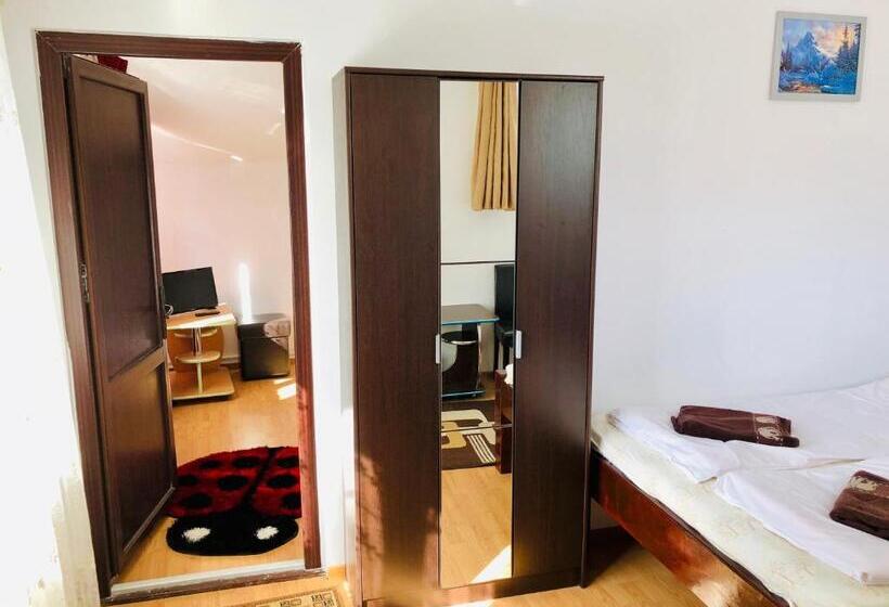 Апартаменты 2 Спальни, Pensiunea White House