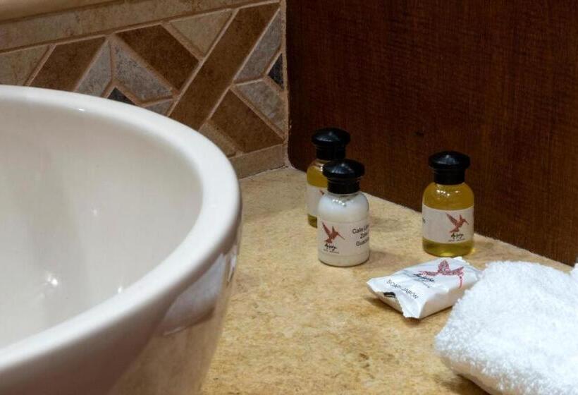 اتاق استاندارد, Alebrijes