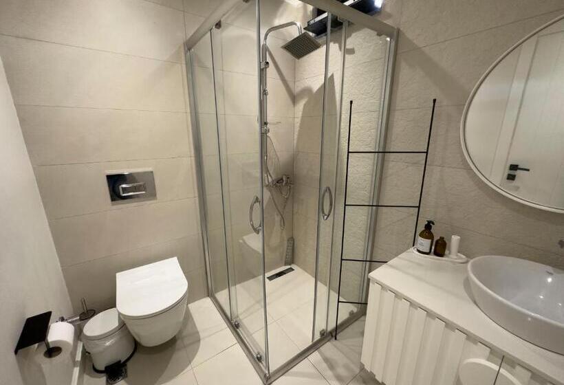 חדר סטנדרט לשלושה, Mehmetbey çaka