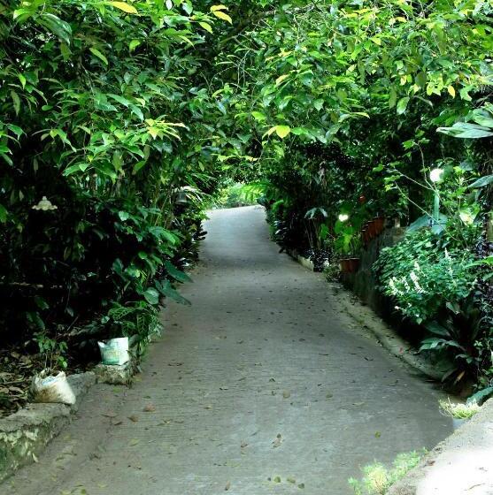 חדר סטנדרט נוף לאגם, The Wayside Tree House And Private Villas