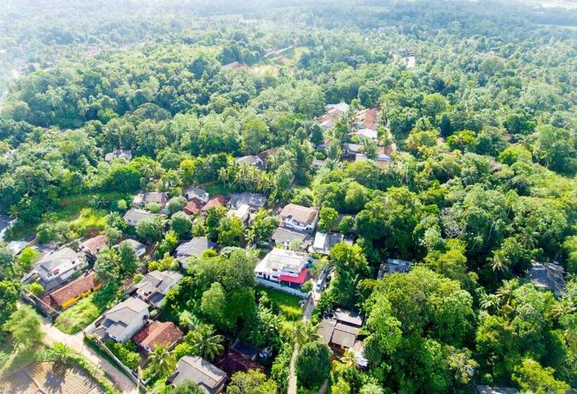 豪华房间, Dinsara Pearl Villa