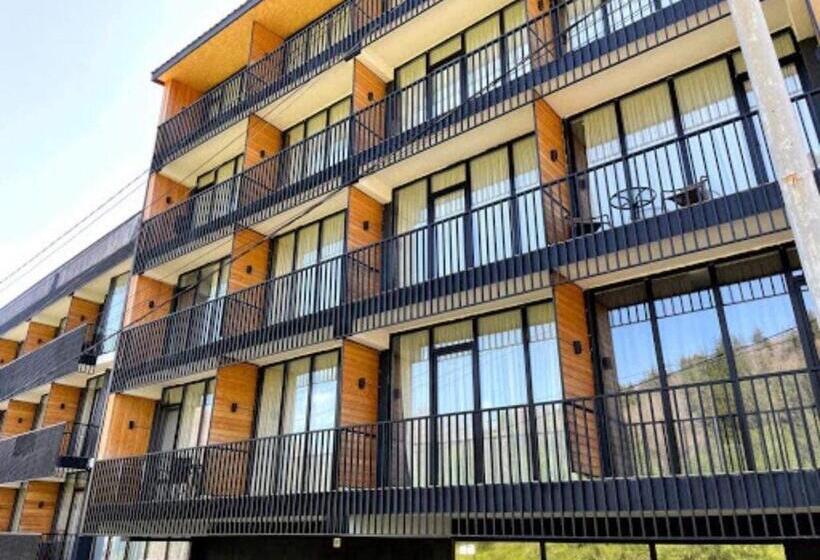 استودیوی استاندارد, Didveli Gallery A205