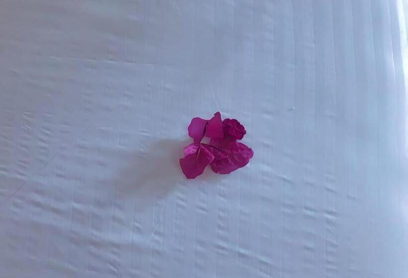 Номер Стандарт, Zanz 14 Beach Bungalows