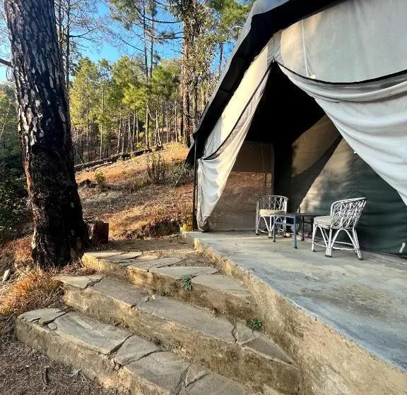 Standard Tent, Glampinn Woods