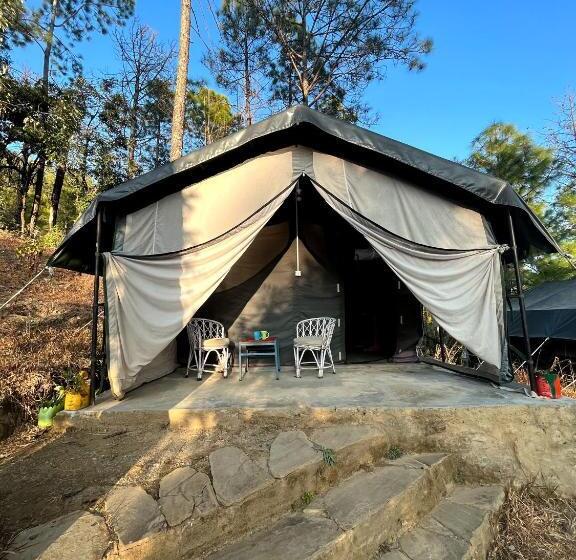 Standard Tent, Glampinn Woods