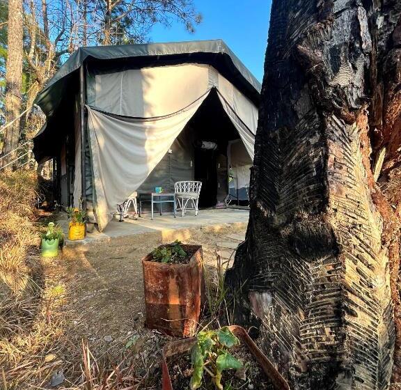 كوخ قياسي, Glampinn Woods